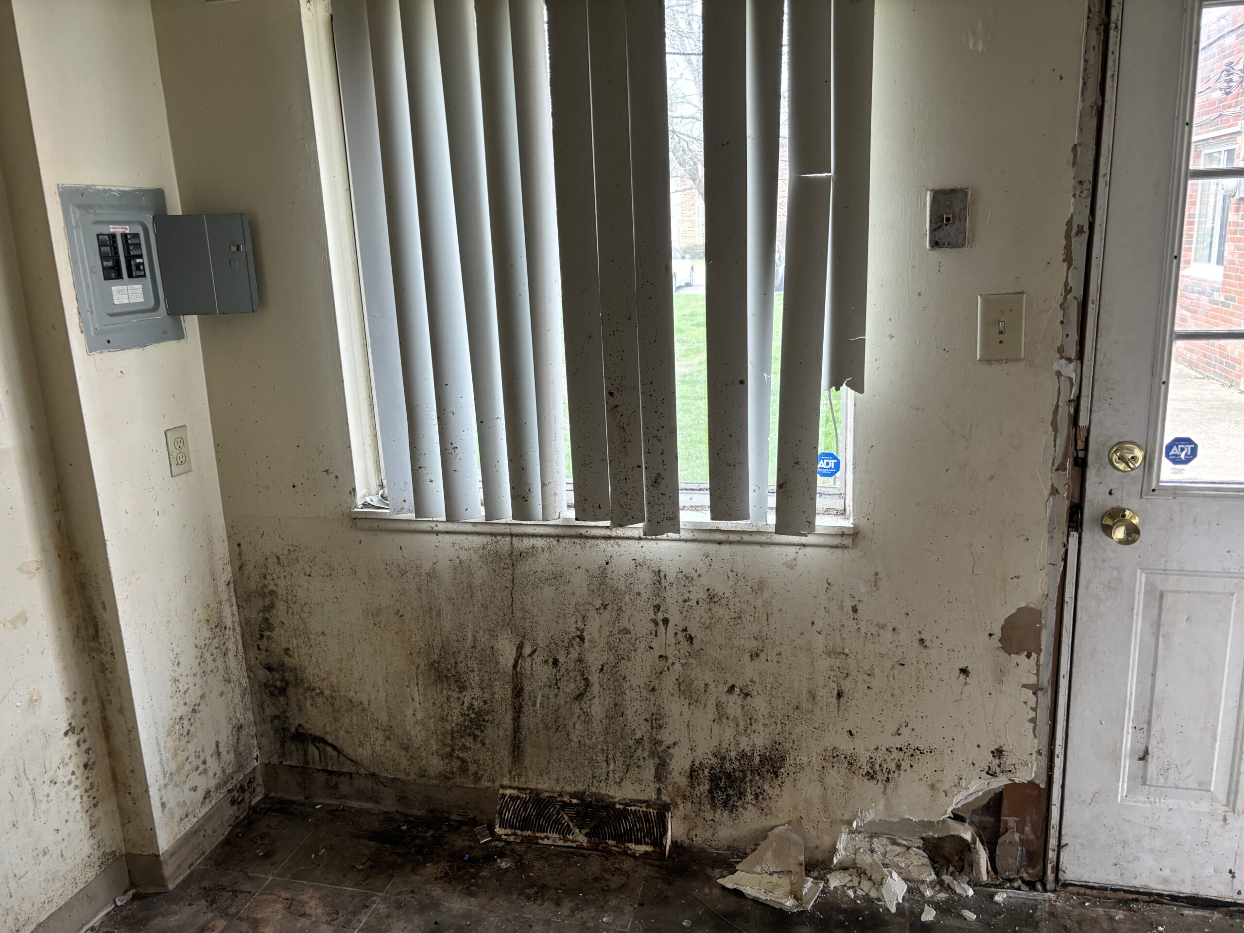 Mold Damage